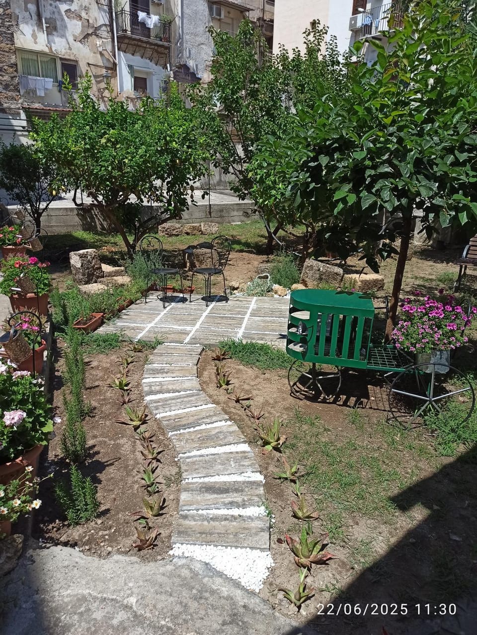 Garden view