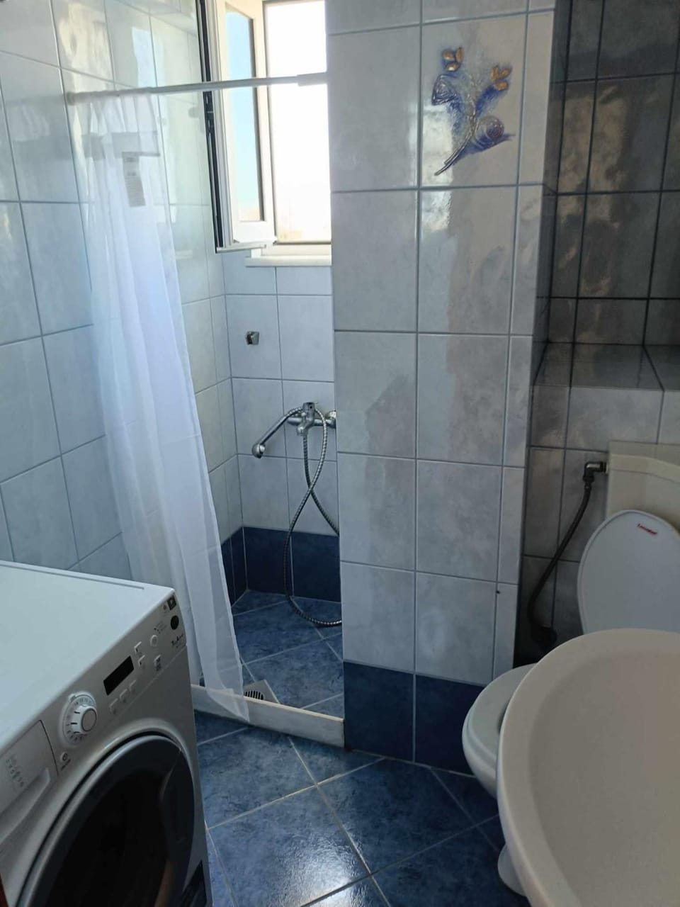 Shower, Bathroom, washing machine