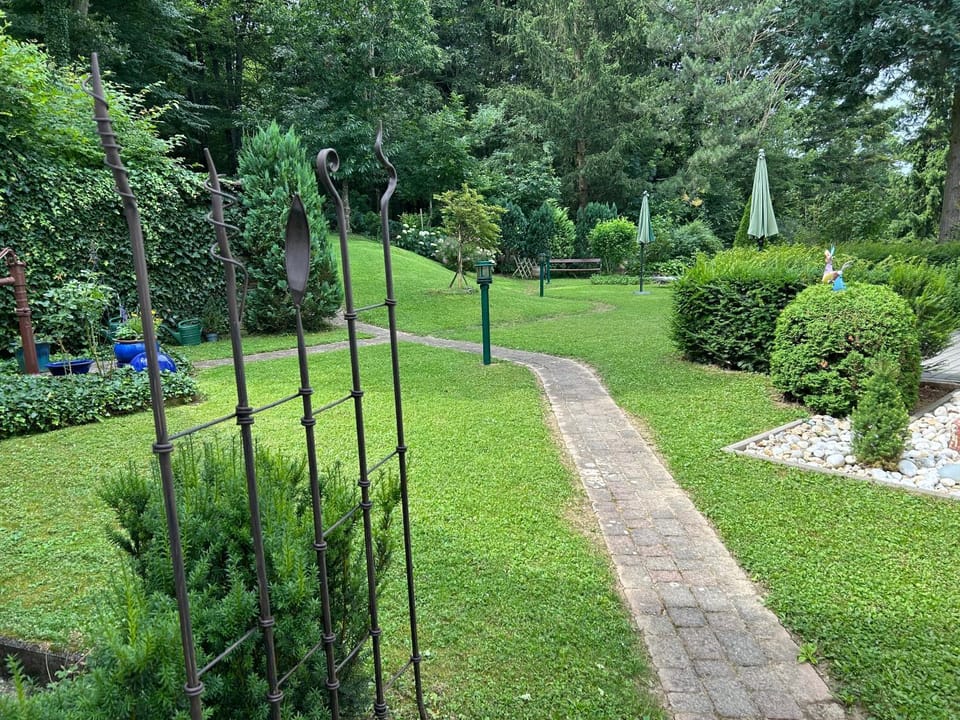 Natural landscape, Garden, Garden, Garden view, sunbed