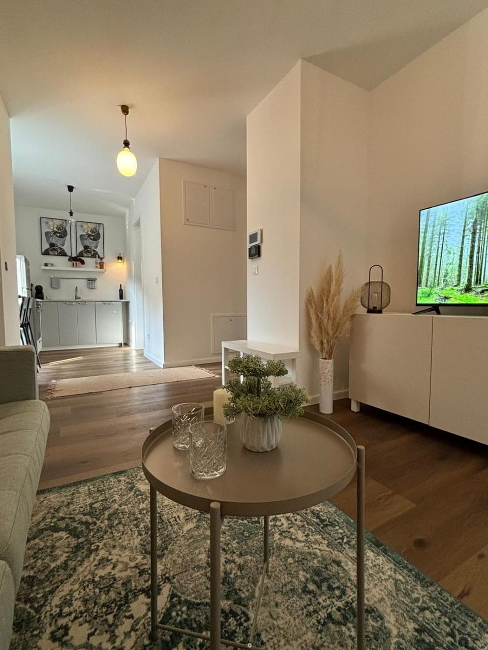TV and multimedia