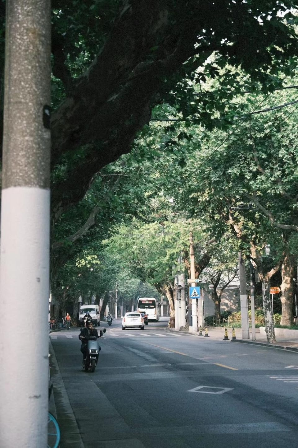 上海小胖纸民宿-南京西路3店-桃之夭夭 Apartment in Shanghai