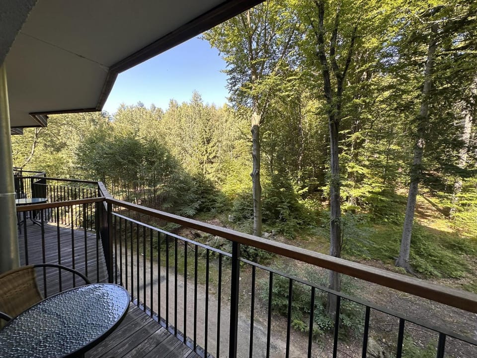 Spring, Day, Natural landscape, Garden, Garden, View (from property/room), Balcony/Terrace, Garden view