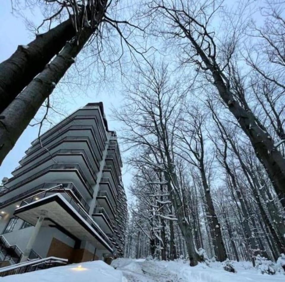 Property building, Day, Natural landscape, Winter, Garden