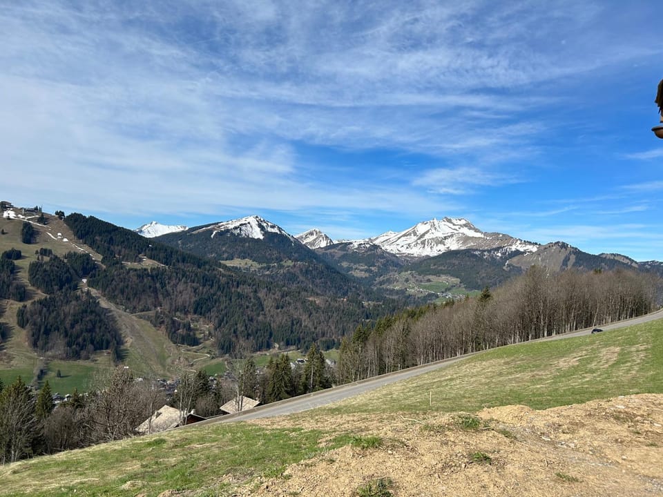 Chalet Morzine La petite grange Apartment in Montriond