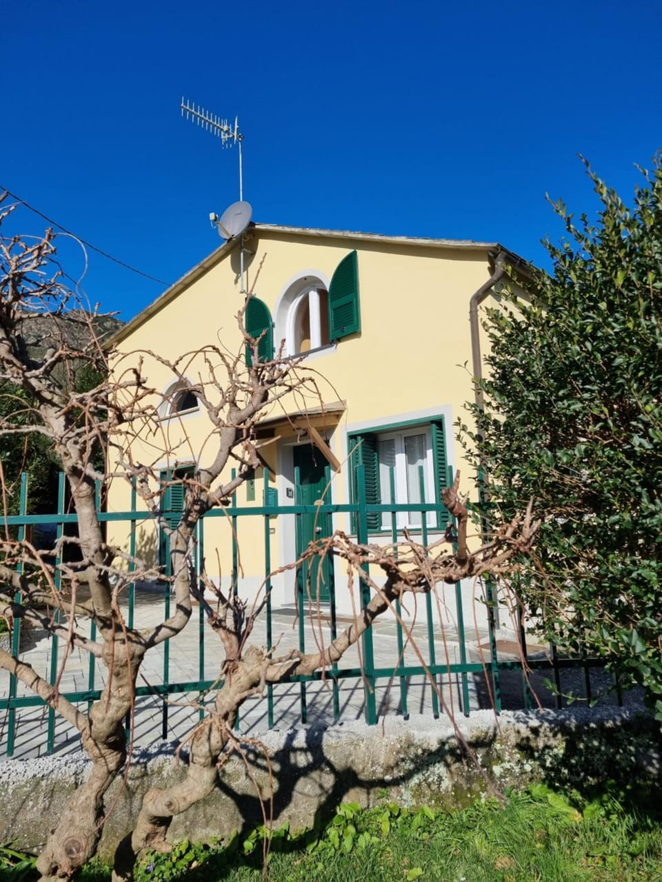 Property building, Garden, Garden view