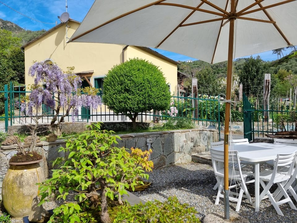 Property building, Garden, Garden, Garden view