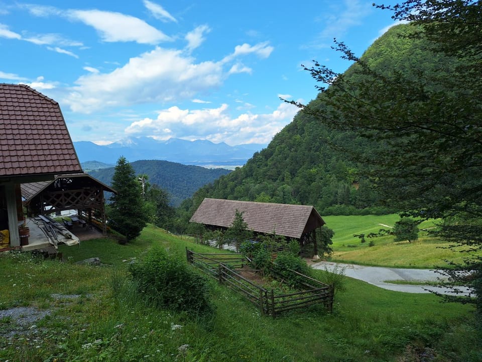 View (from property/room)