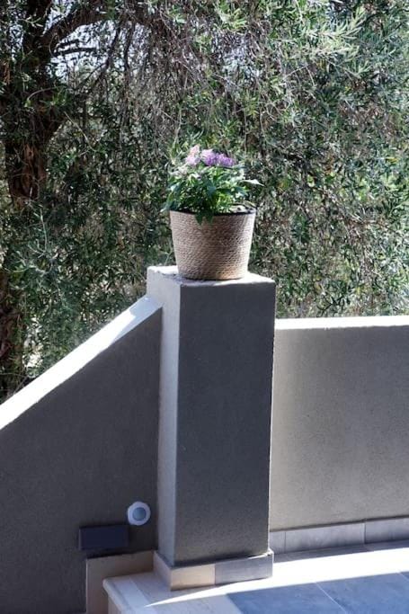 Olivea's House Apartment in Corfu, Greece