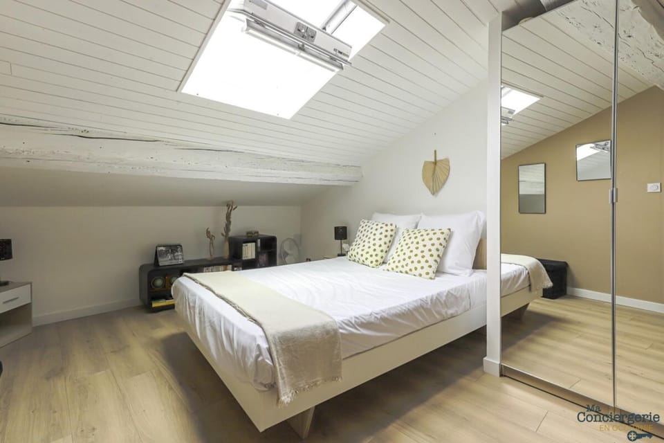 Taur - Hypercentre - Basilique St Sernin Apartment in Toulouse