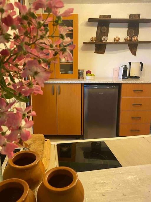 Beautiful Villa in the Rodopi Mountains Villa in Plovdiv Province