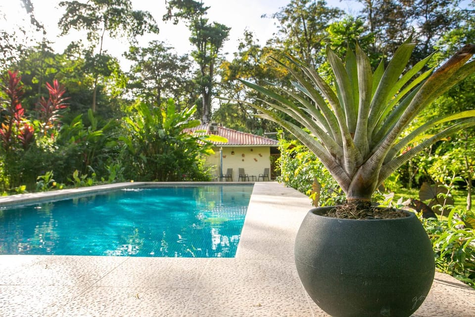 Garden, Garden view, Pool view, Swimming pool, Swimming pool