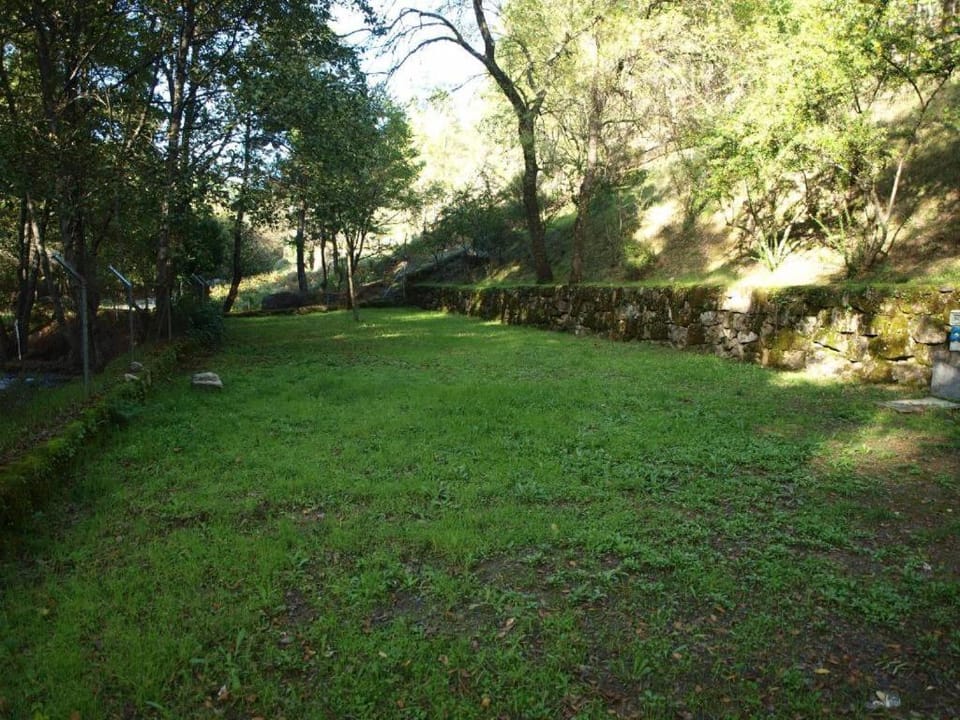 Natural landscape, Garden view
