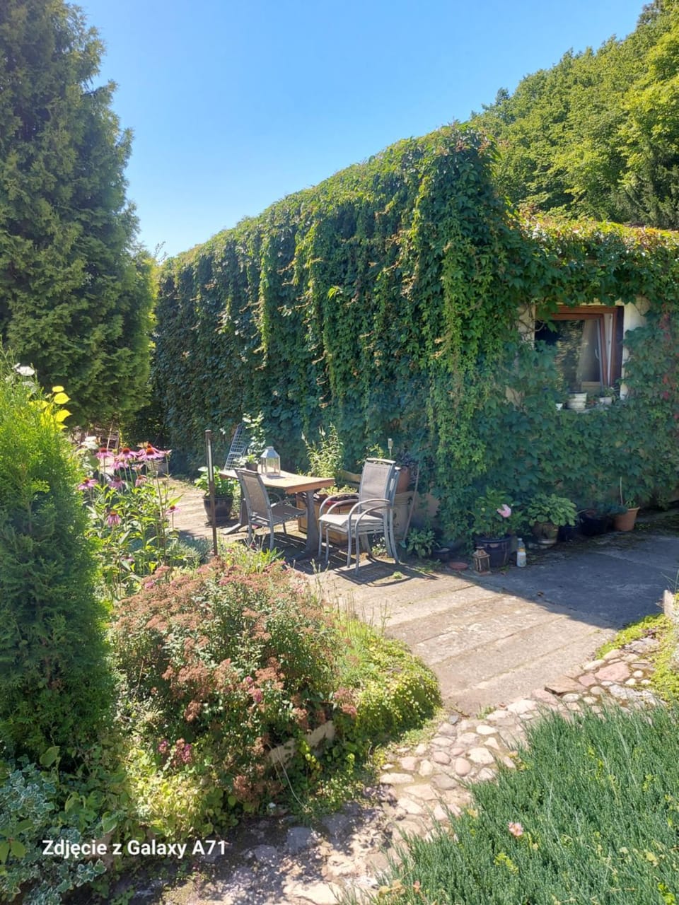 Garden view