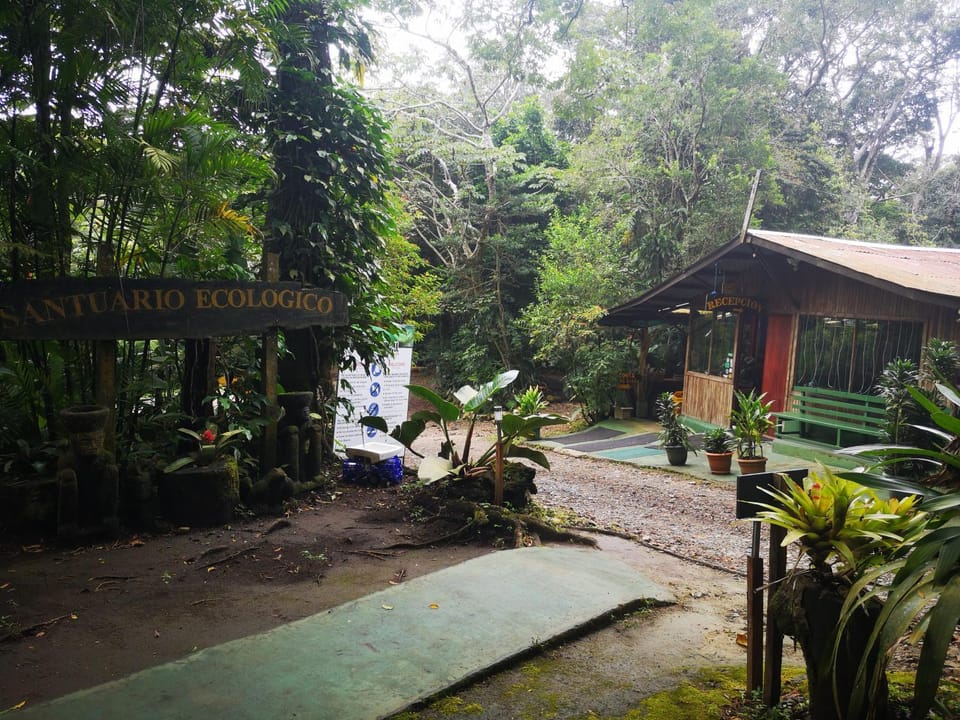 Property building, Natural landscape
