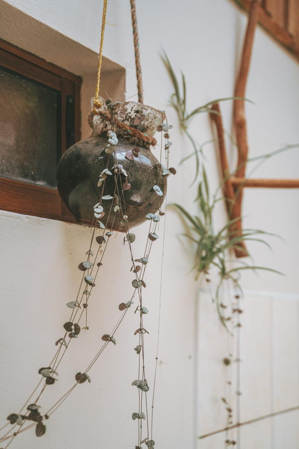 Decorative detail