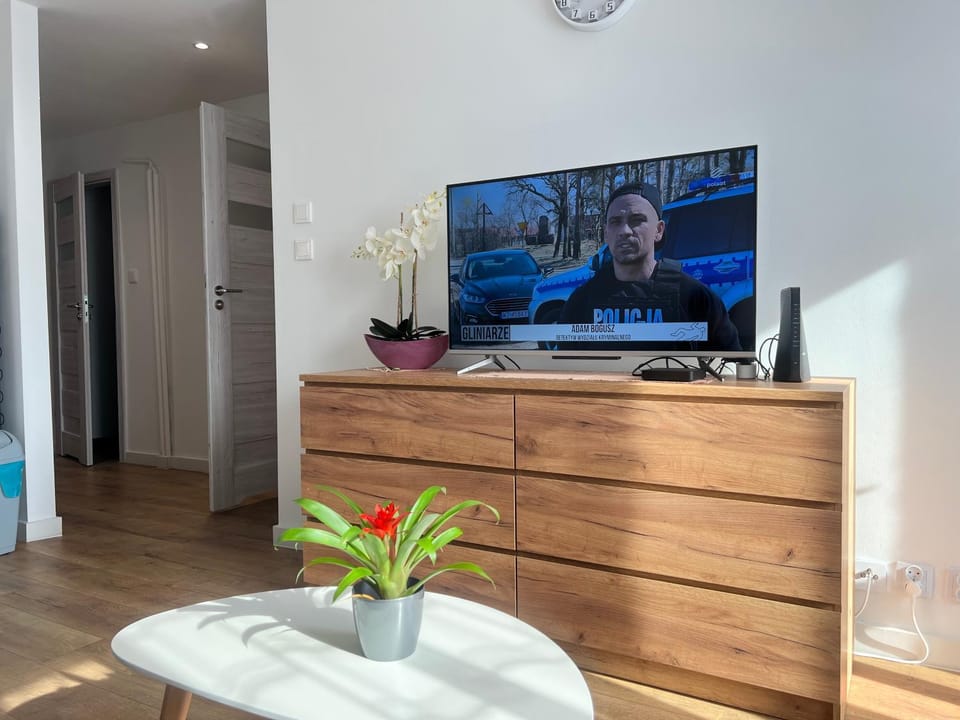 TV and multimedia
