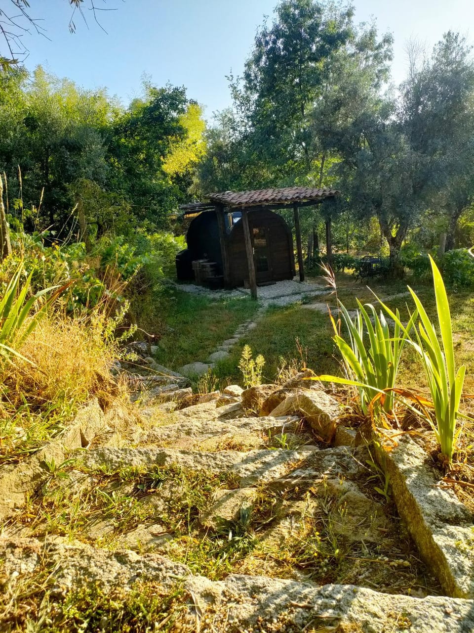 Quinta dos Covões Campground/ 
RV Resort in Portugal