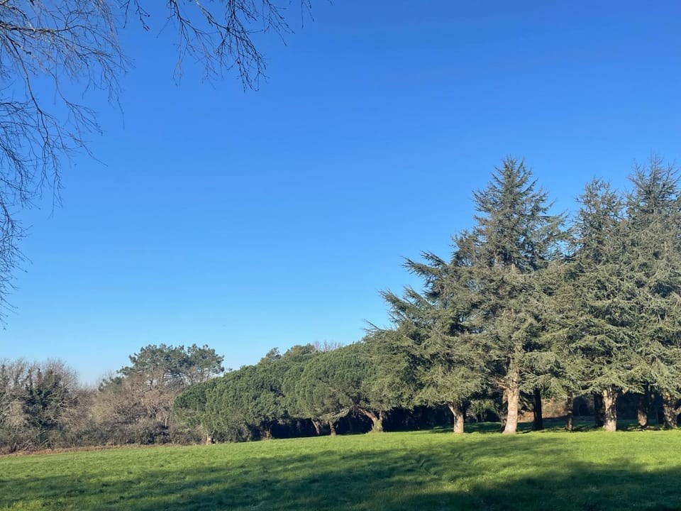 Natural landscape, Garden