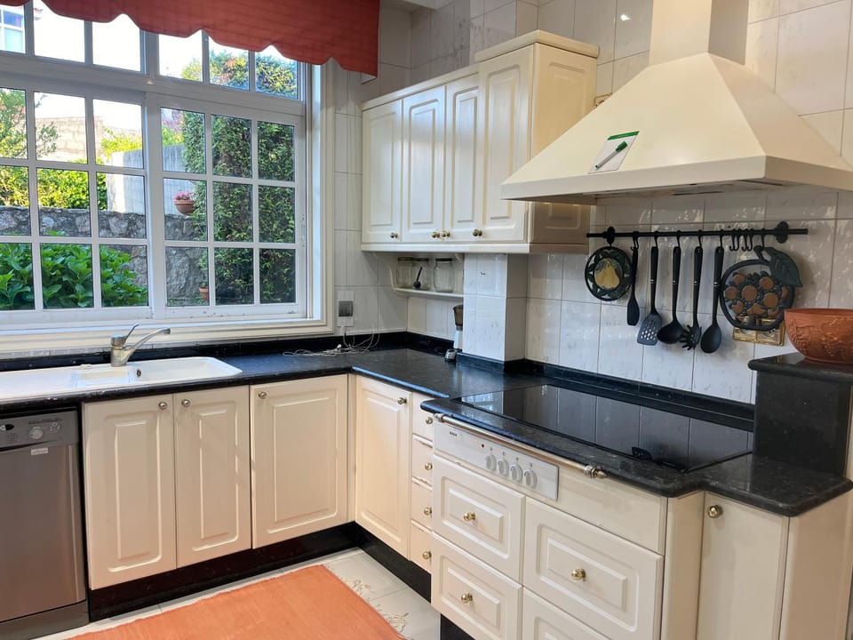 Kitchen or kitchenette, stove