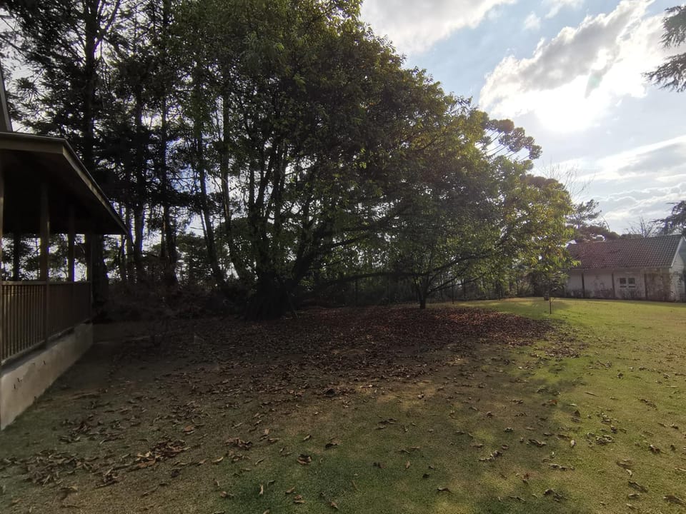 Natural landscape, Garden, Garden view