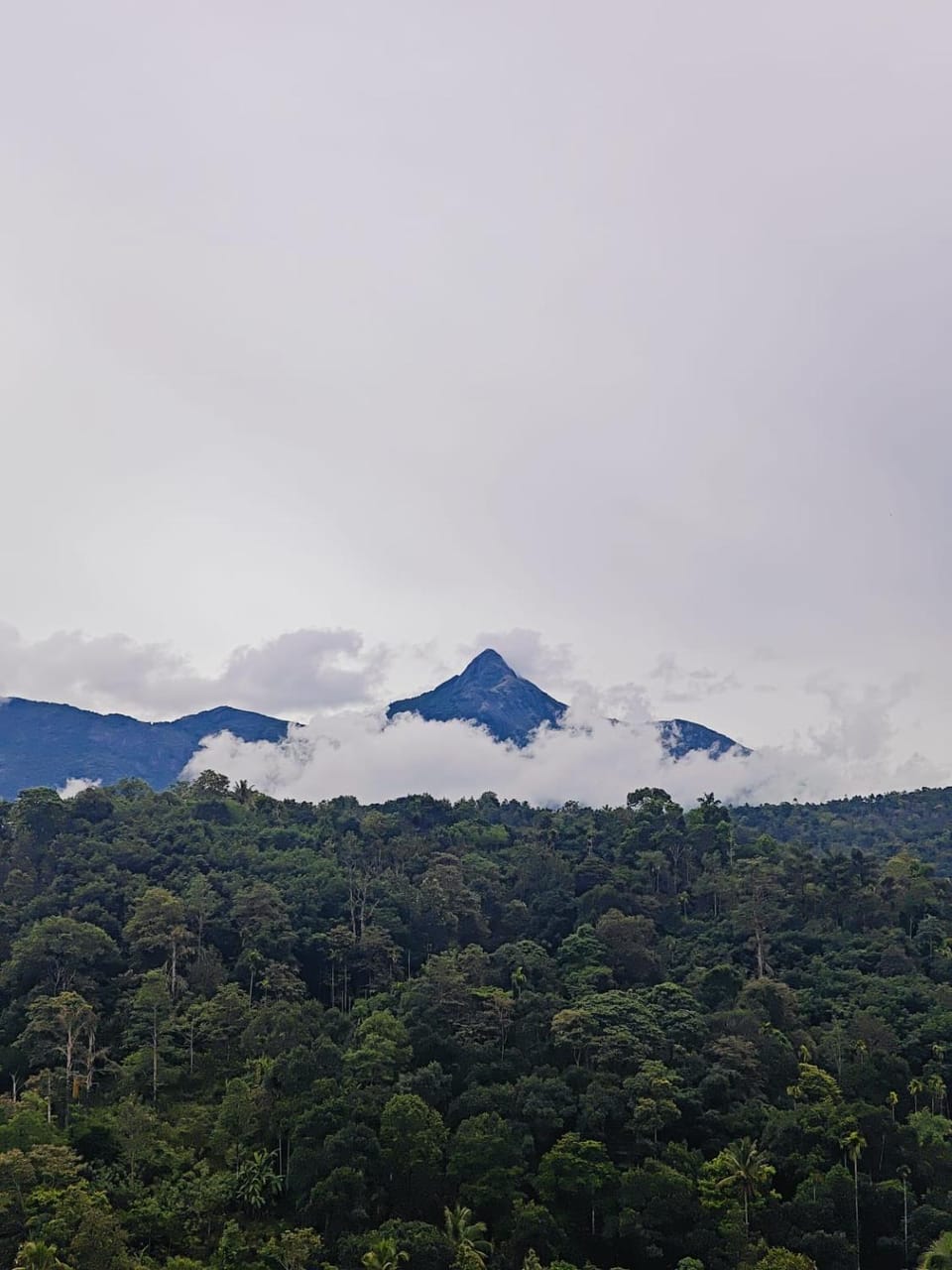 Irsh Bed and Breakfast in Kerala