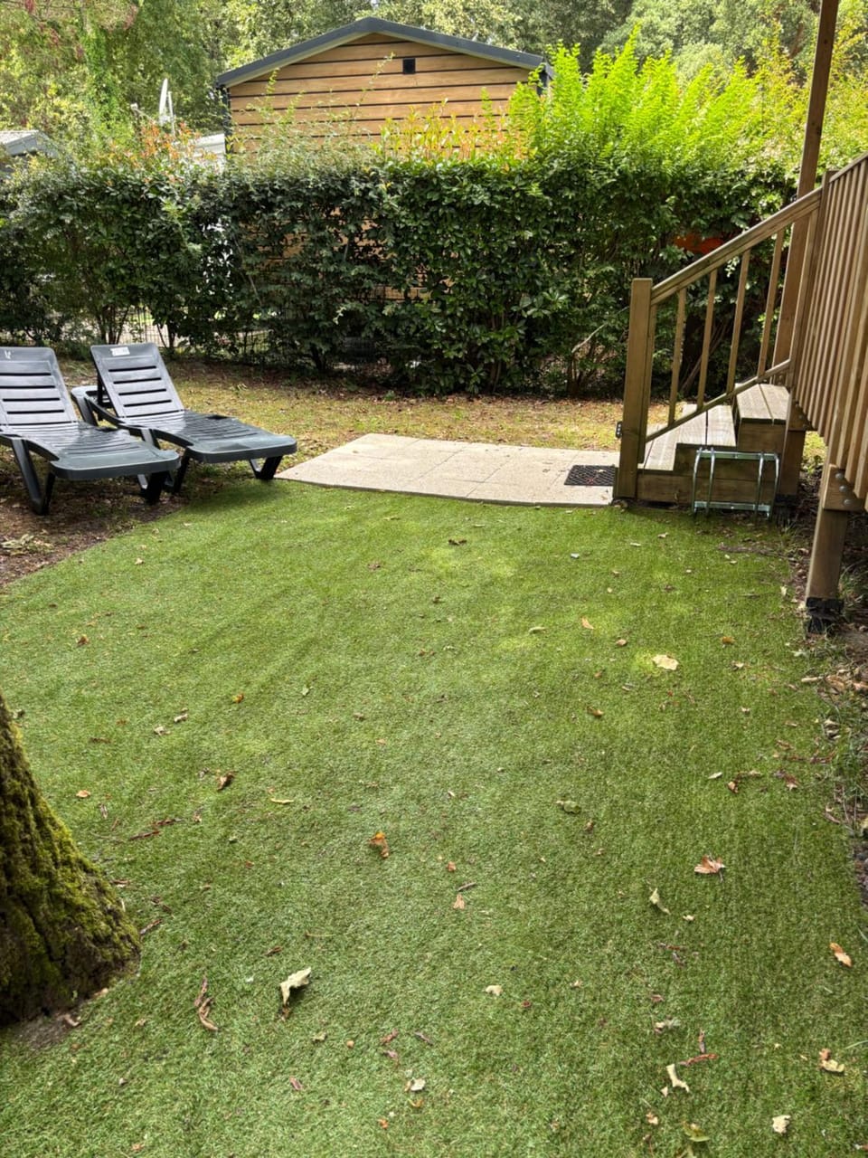 Garden view