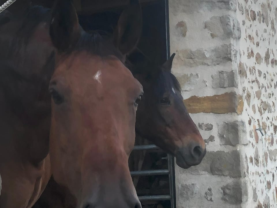 Horse-riding