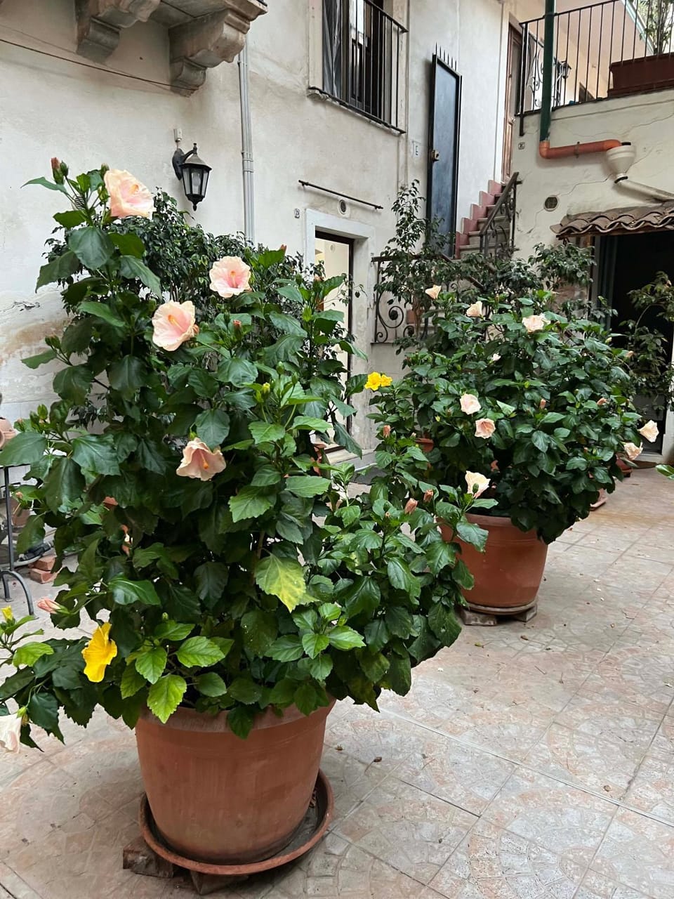 Bellini Space 3 Apartment in Catania