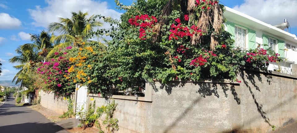Property building, Garden view