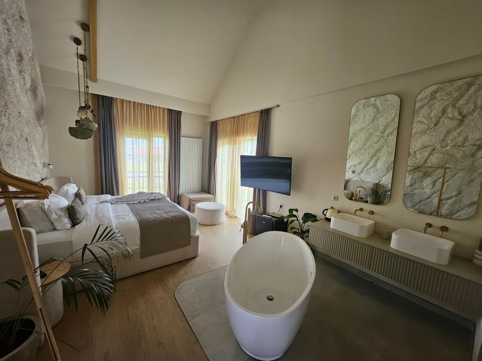 the berg's 10 Hotel in Romania