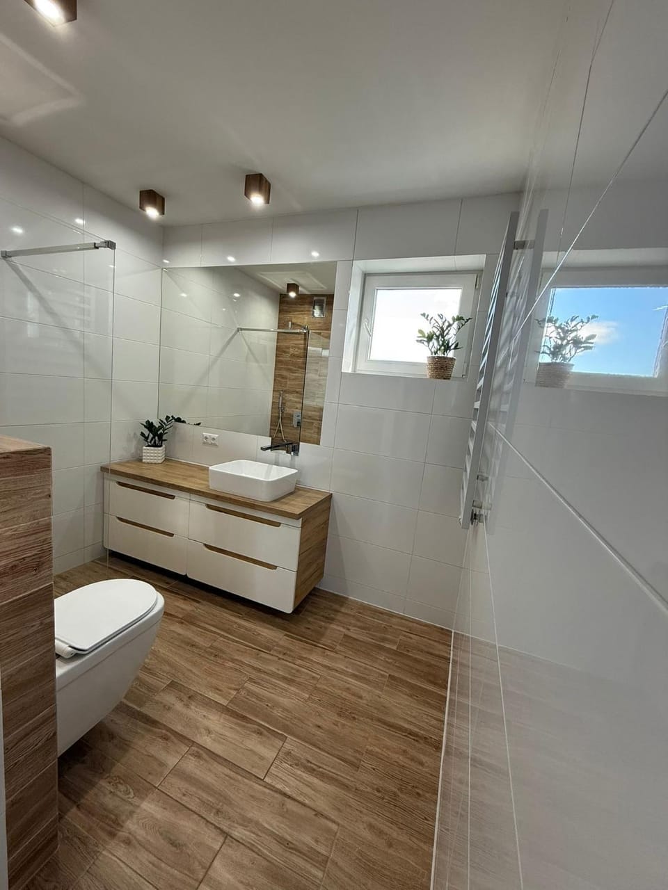 Shower, Toilet, Bathroom, towels