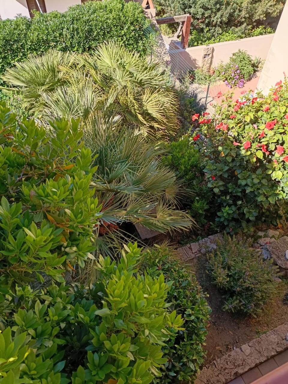 Villa del Ginepro House in Sardinia