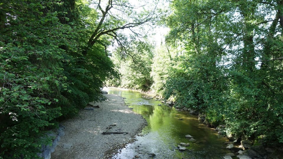 River view