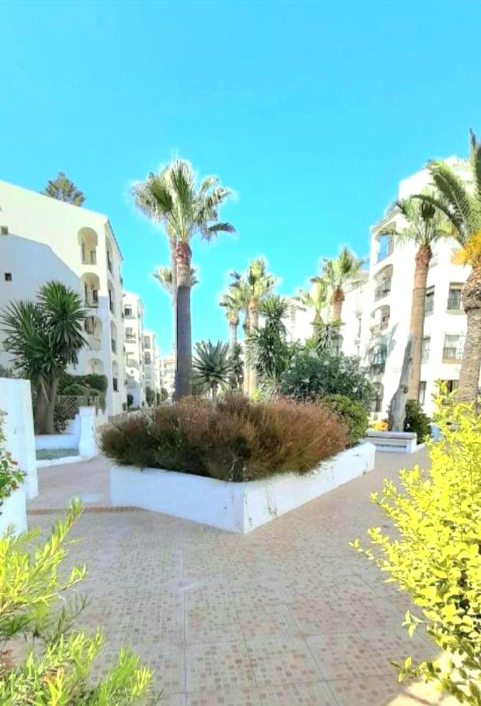 Property building, Spring, Day, Garden, Garden view