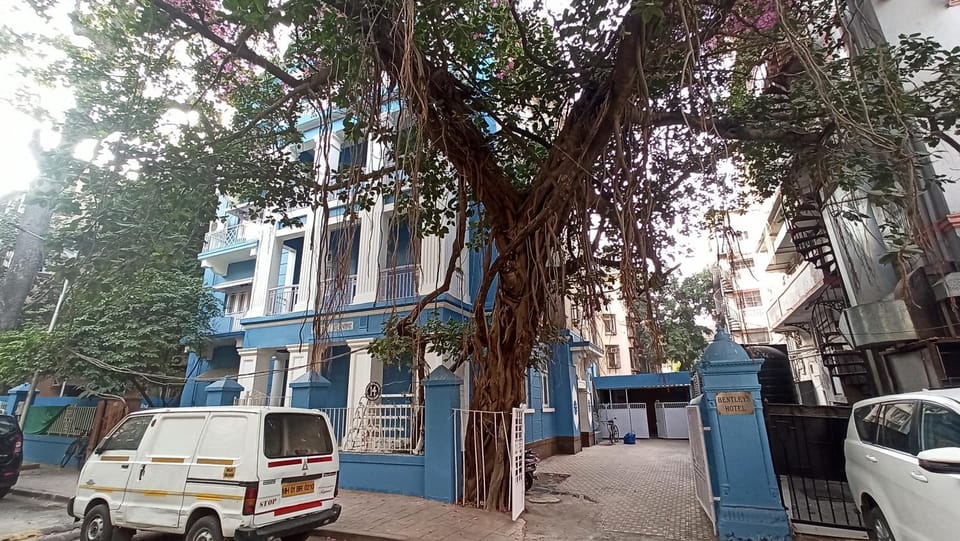 Property building, City view, Street view