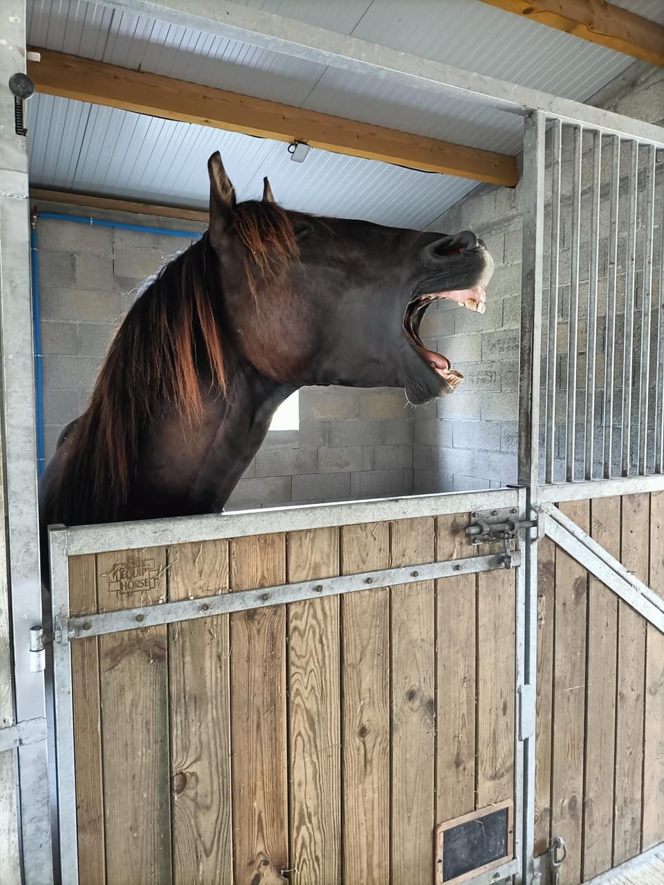 Horse-riding