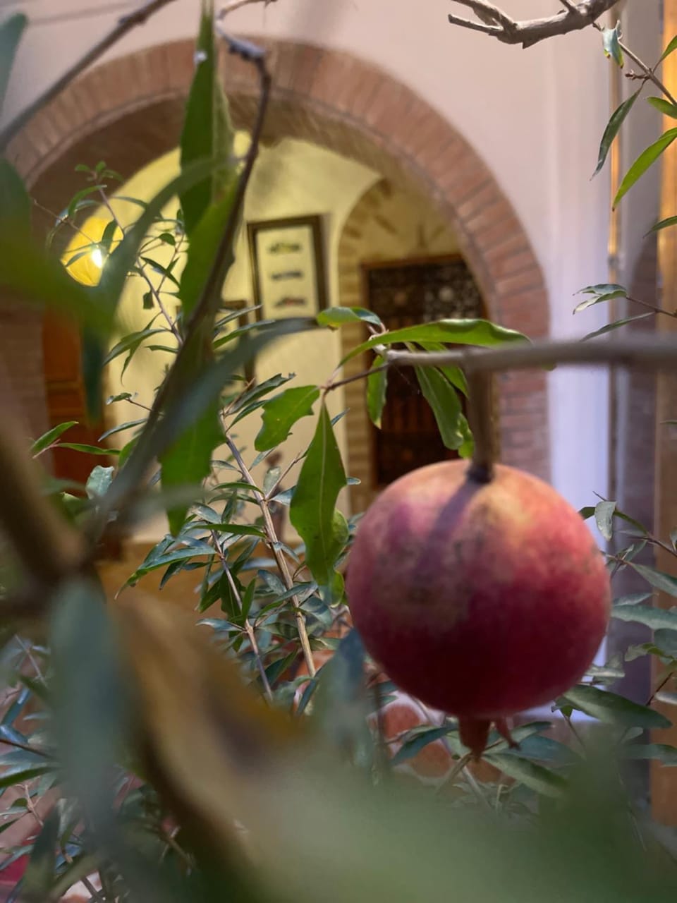 Inner courtyard view