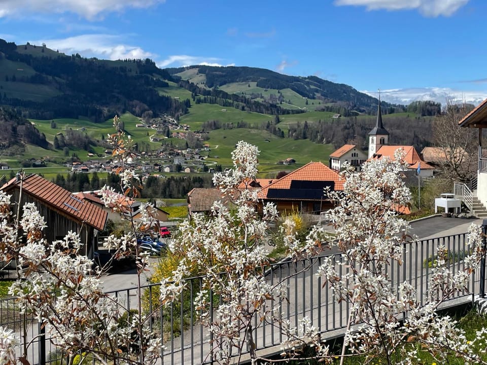 Spring, Neighbourhood, Natural landscape, Garden, Mountain view