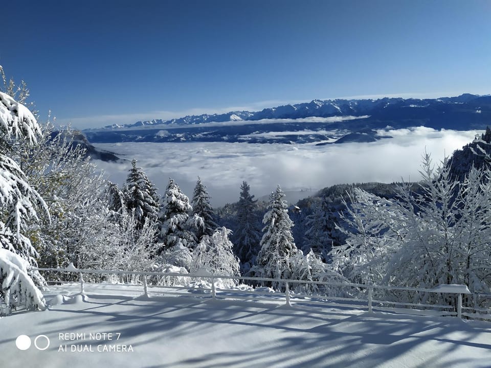 Mountain view