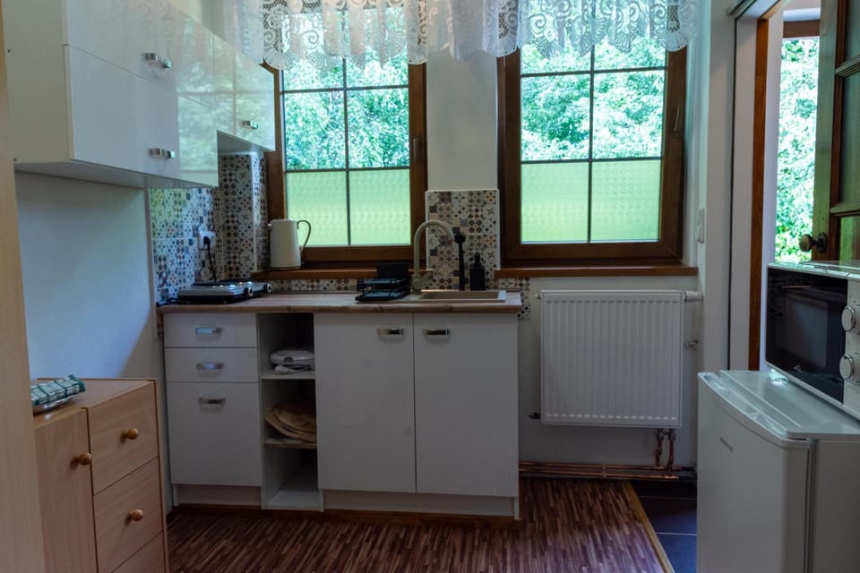 Kitchen or kitchenette, microwave, stove