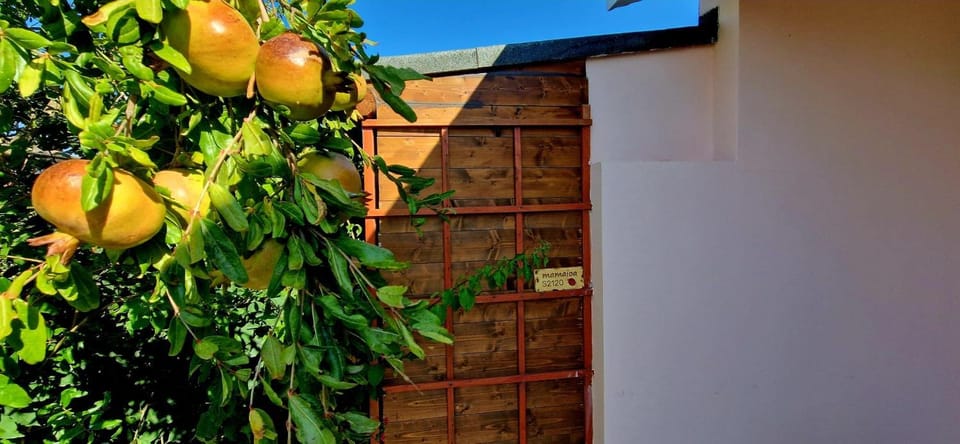 Casa vacanza Mamaioa Apartment in Sardinia