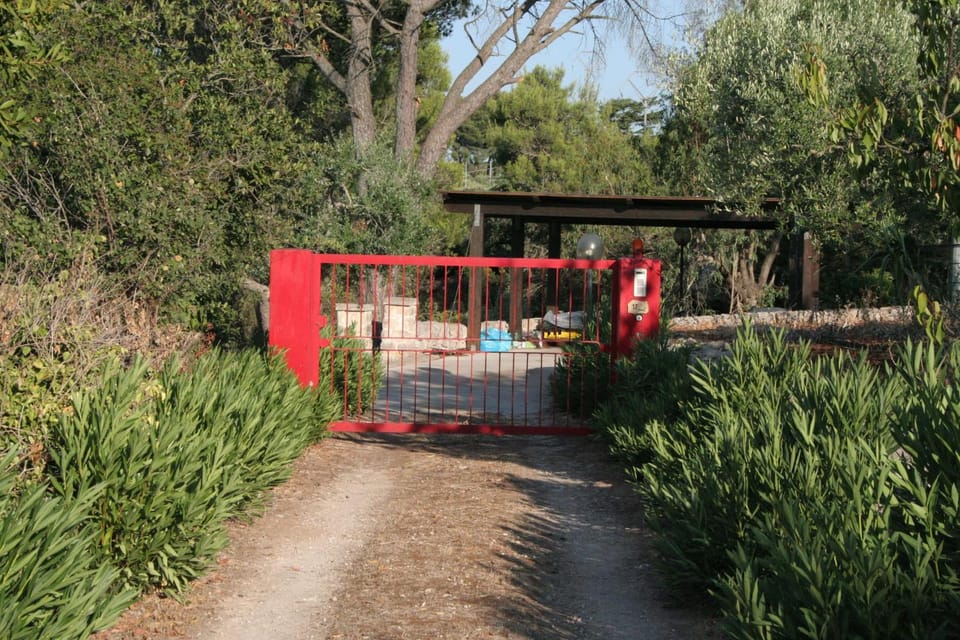 Day, Natural landscape, Garden