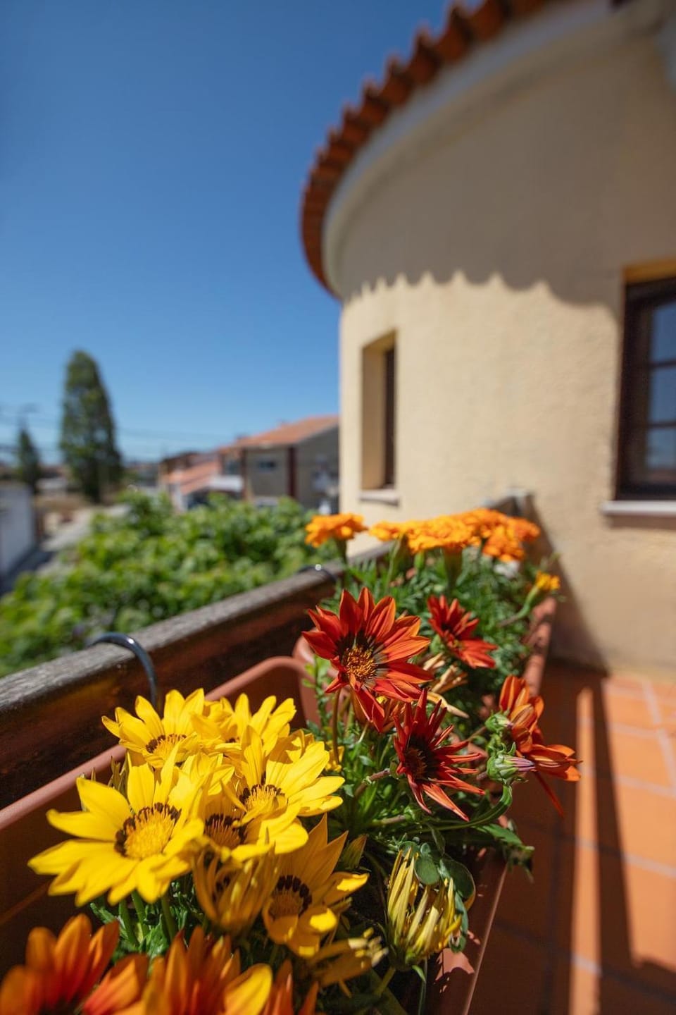 Property building, Garden, Balcony/Terrace, Garden view