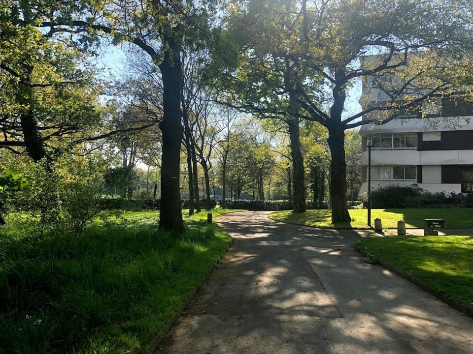 Garden view
