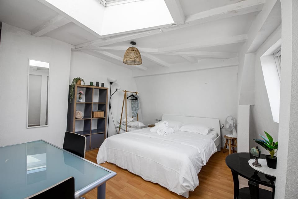 Sweet-Cathedral Hyper centre, proche gare Apartment in Metz