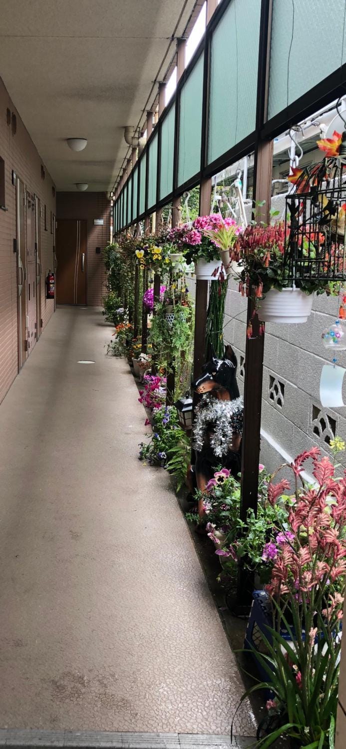 東京の港灣-Tokyo Harbor -28 square meter king size garden room Apartment in Shinjuku