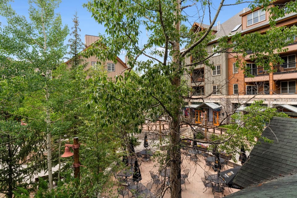 Day, Neighbourhood, Dining area, Inner courtyard view