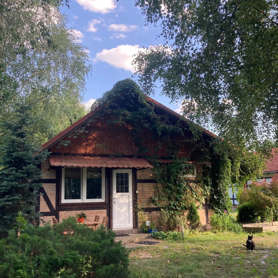 Letnia Oficyna Apartment in Pomeranian Voivodeship