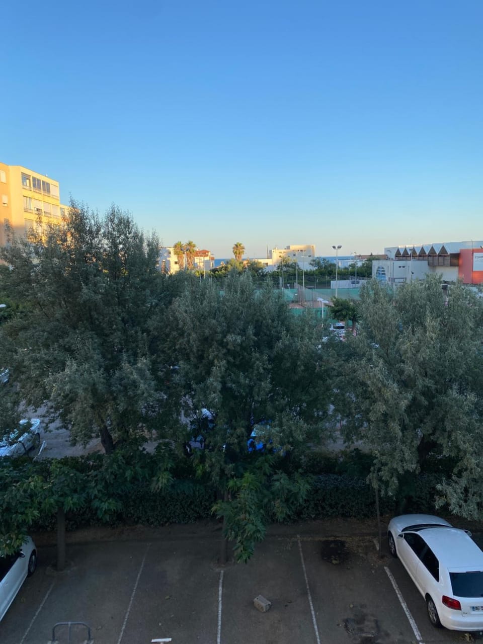Garden view