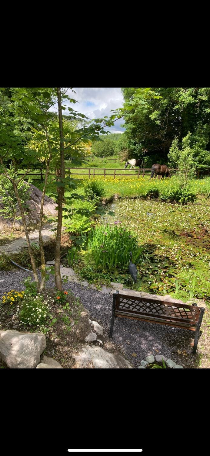 Natural landscape, Garden view